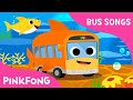 Nội dung video và yếu tố chính