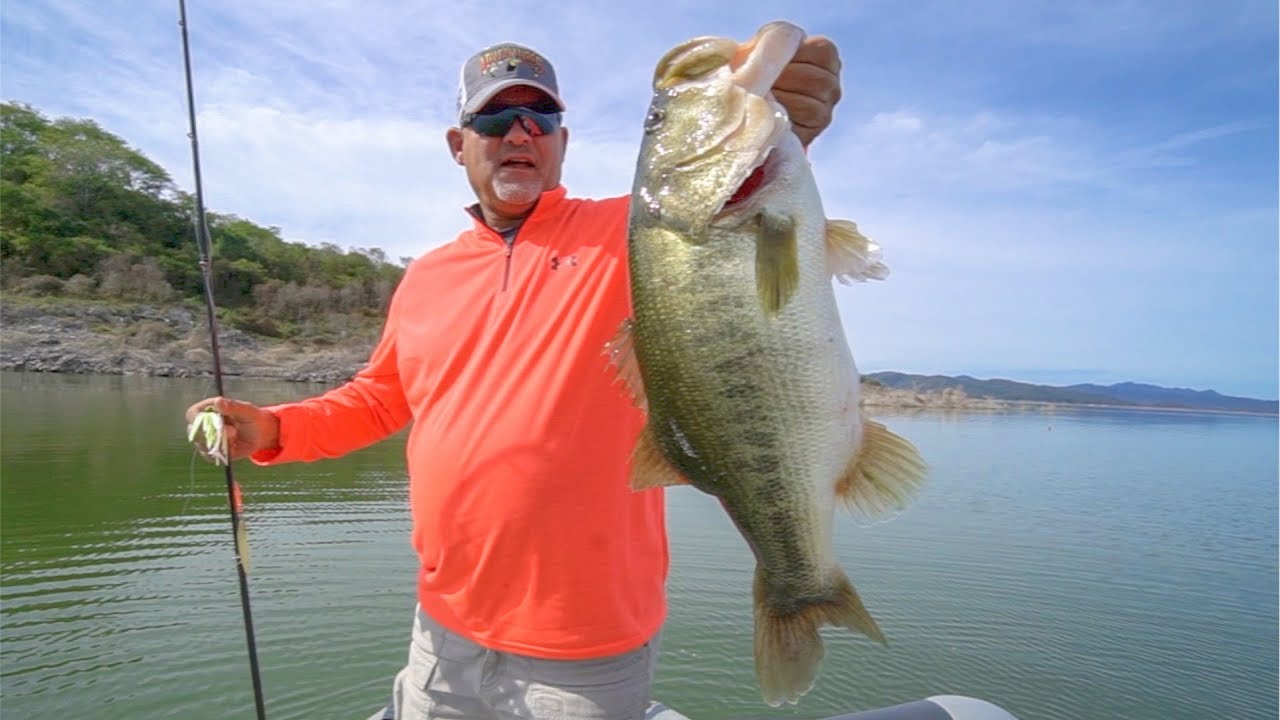 RARE FOOTAGE MEGA BASS FEEDING FRENZY