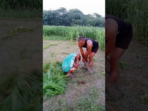 तुझे शर्म नहीं लगती क्या#youtubeshorts #shorts #Suman Show