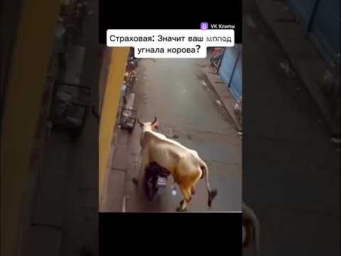 Надеюсь нет камеры 📷
