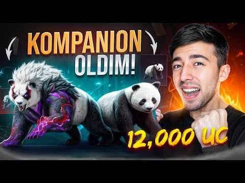 PANDA KOMPANION OLDIM 😱 12,000 UC DACHADA OMADLI OPEN KEYS!!!