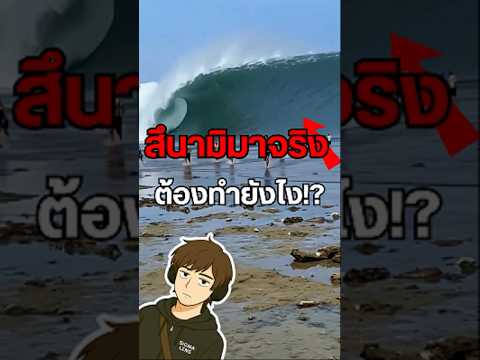 ถ้าสึนามิมาจริง ต้องทำยังไง!?🌊 #สึนามิ #Tsunami #ภัยธรรมชาติ #เอาตัวรอด #ความรู้รอบตัว