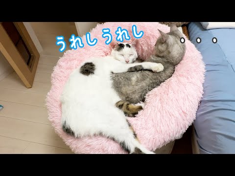 寒くないのに仲良しなマロチロ！！