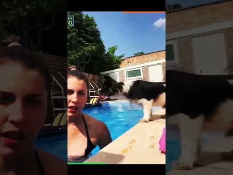 Most funny shots:11😆😆😆#funny #viralshort #funnyvideos #memes #shorsfeed #viralvideo #fails #shorts
