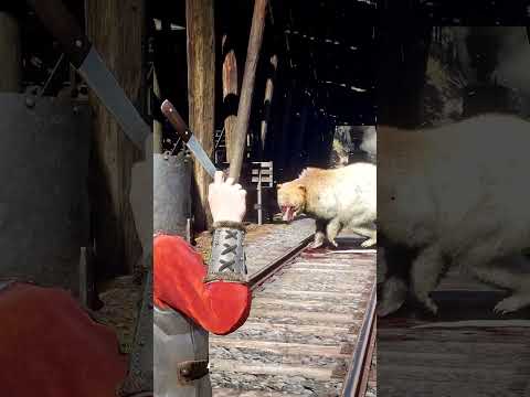Great Survival Skills vid573