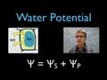 Understanding Water Potential