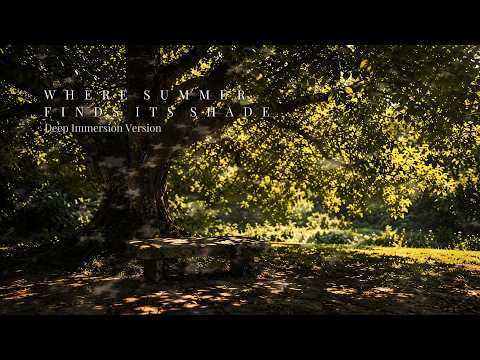 Where Summer Finds Its Shade · Deep Immersion Cover Image