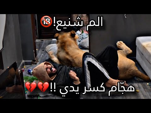 هجّام كسر يدي!🔞💔