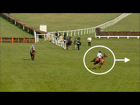 Have you ever seen anything like it!? Incredible scenes at Sandown as leader throws away certain win