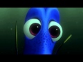 Understanding the Address in Finding Nemo