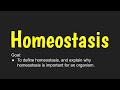 Understanding Homeostasis