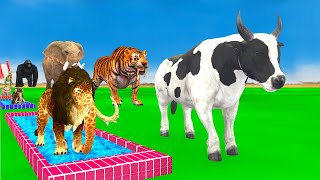 Choose The Right Pool With Elephant Cow Tiger Lion Dinosaur Gorilla Funny Animals 3D Long Slide Game