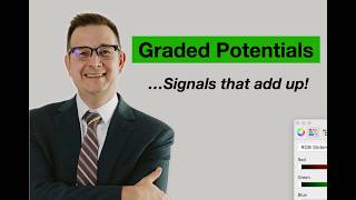 Graded Potentials Made Simple: EPSPs, IPSPs, and Summation