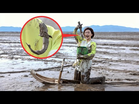 为了尝一口“水中人参”，我也是拼了！！！| 绵羊料理