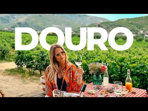 Descubra o melhor do Douro: vinícolas, restaurantes e passeios imperdíveis em Portugal