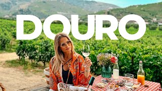 Descubra o melhor do Douro: vinícolas, restaurantes e passeios imperdíveis em Portugal