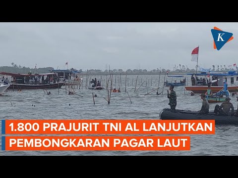 1.800 Prajurit TNI AL Terjun Bongkar Pagar Laut Tangerang, Target 7,5 Kilometer