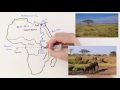 Exploring the Geography and Culture of Africa