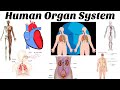Human Body Systems and Functions