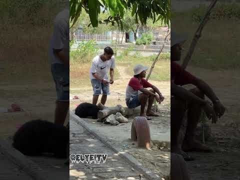 La Rata Traviesa lo Muerde #viral #tendencias #viralvideo #humor #viralreels