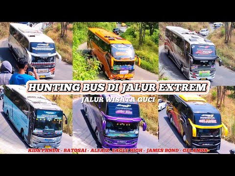 FULL TELOLET BASURI !! Hunting Bus di Jalur Extreme Obyek Wisata GUCI | Full Bus Artis Corong Atas