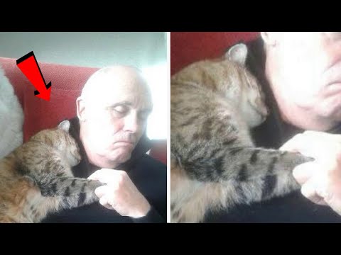 Кошка залезла в дом к больному мужчине! Того, что произошло дальше - никто не ОЖИДАЛ!