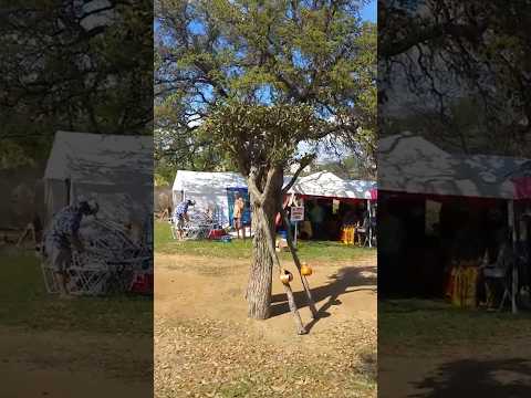 This Tree Can Walk 😱