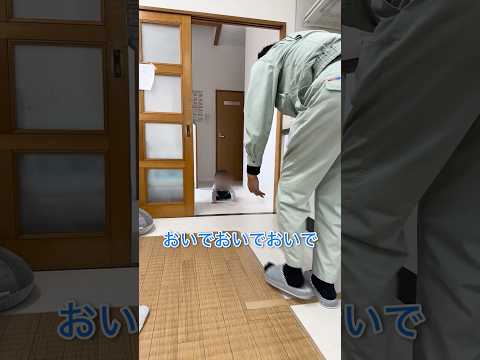 俺が呼んだらもっと早くなるはず!!はいはいレースに挑戦👶🏻🔥