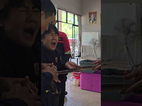 제일 겁많은 신입 여자소방관 코브라를  잡을수 있을까?