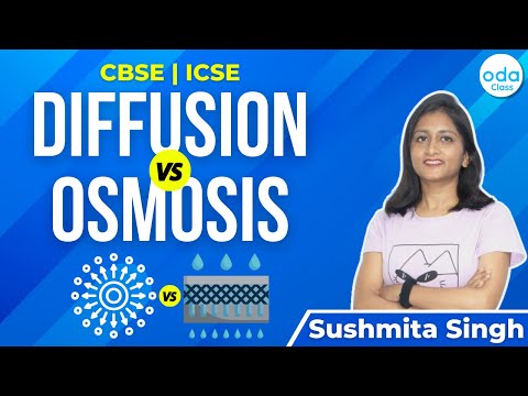 Diffusion vs Osmosis : Real Life Examples | CBSE | ICSE