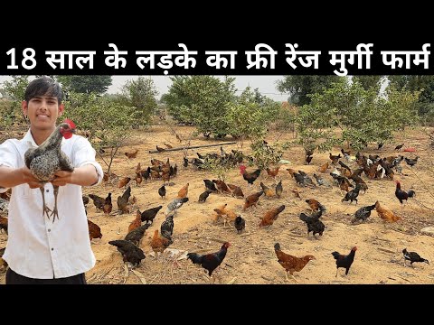 18 साल के युवा का Free Range Desi Poultry Farm | Free Range Desi Murgi Palan | Poultry Farming