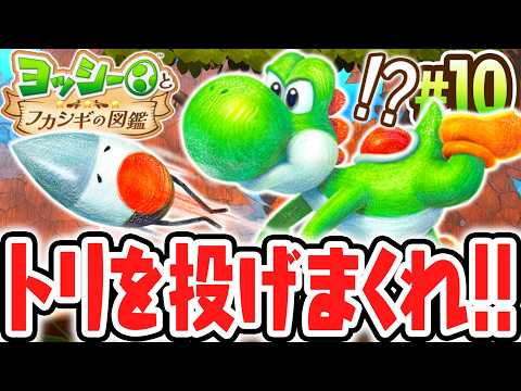 ハネが無いトリの生物!?つっつきさんを投げまくって調査!?Switch2で最速実況Part10【ヨッシーとフカシギの図鑑】