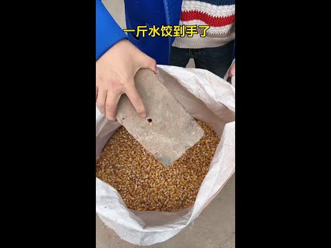 一斤水饺又到手了