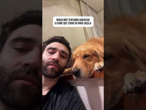Obrigado mãe 🙏🏻 #retriever #dog #pets #goldenretriever #cachorros #goldens #humor #comedia #pet