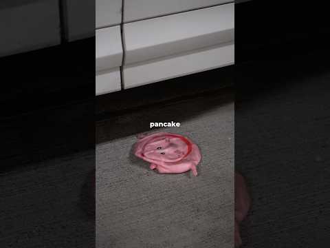 Indestructible Pig VS Indestructible Gorilla