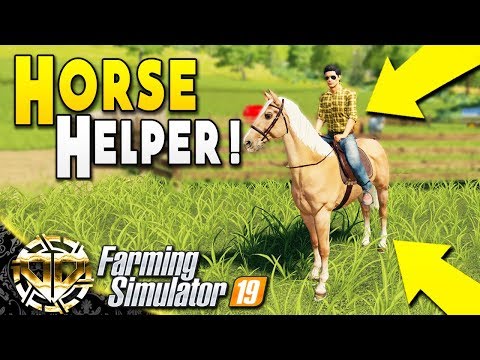 fs19 horse helper