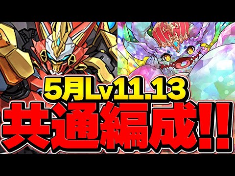 LV11&LV13をウルトナ共通編成でクリアしよう！魔法石24個ゲット！5月クエスト攻略 ウルフデイトナ【パズドラ】