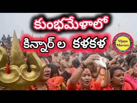 కుంభమేళా/కిన్నార్ అఖాడా లో ఎవరుంటారు?/kinnar akhara prayagraj maha kumbhmela/what is kinnar akhada