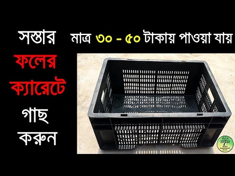 ফলের ক্যারেটে গাছ করার টেকনিক / Uses of fruit crate as planter / Roof Gardening