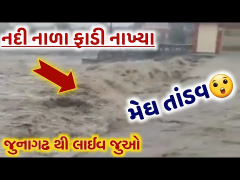 ગુજરાતમાં ગાજવીજ સાથે ધોધમાર વરસાદ, જુનાગઢમા મુશળધાર, રાજકોટમા અનરાધાર વરસાદ, હવામાન વિભાગ આગાહી