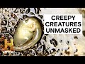 Mysterious Creatures and Phenomena