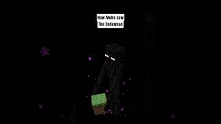 How Mobs saw The Enderman #minecraft #enderman