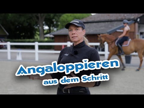 Aus dem Schritt angaloppieren und die Rückführung lernen | Reiten lernen Videoteaser