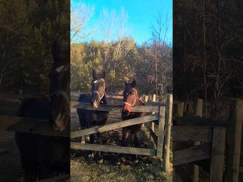 Щастя в моменті 🔥💫🫶 Тася 2025 р.