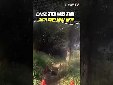DMZ 지대 北 지뢰 제거 작전 <strong>영상</strong> <strong>공개</strong>