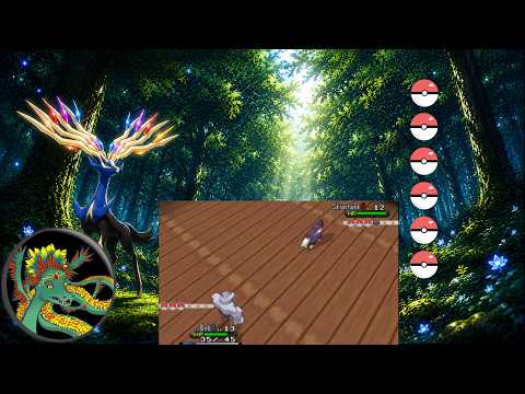 Bob, können wir das schaffen? - Pokemon X Randomizer Nuzlocke V3 #4