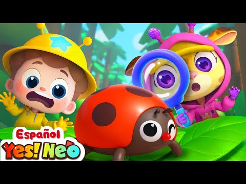 Atrapamos los Insectos | Yes! Neo | Canciones Infantiles | BabyBus en Español