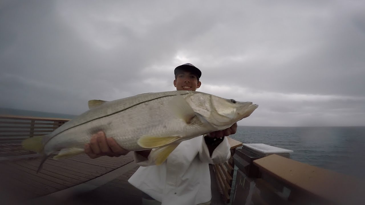 Rain or Shine. (Juno Pier Snook Fishing)