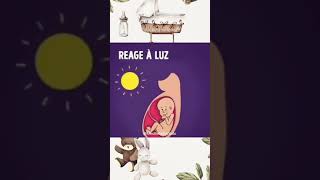 O que o Bebê Sente na Barriga da Sua Mãe 🤰🏻❤️👶🏻 #gravidez #gestante #gravida #gestação #maternidade