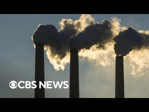 YouTube video thumbnail: Young Climate Activists sue Trump Administration Over Orders Promoting Fossil Fuels